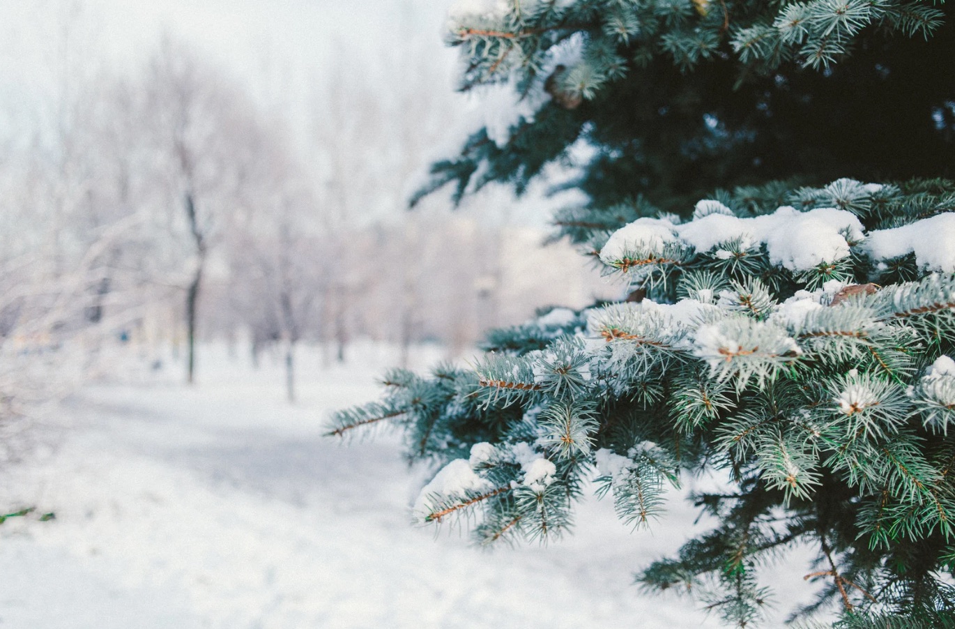 Comment se préparer à un déménagement par temps froid ? 🧊